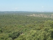 El Gobierno invertirá 458.000 euros en corregir tendidos eléctricos del monte de El Pardo