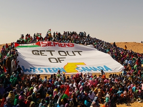 Sobre las renovables en el Sáhara Occidental