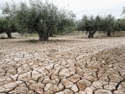 España debe triplicar esfuerzos para reducir un 26% sus emisiones de CO2, como le pide Bruselas