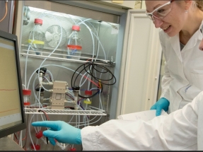 Siemens y la química Evonik desarrollan productos químicos verdes a partir del CO2