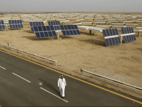 Arabia Saudí va a licitar 700 MW en su primera ronda de renovables