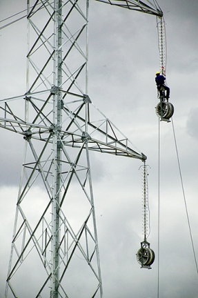 El lobby eléctrico promovido por Acciona e Iberdrola sigue ganando adeptos pero niega la entrada a la biomasa