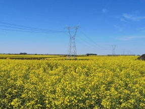 BID Invest financia la primera línea de transmisión verde para fortalecer el sector de energía