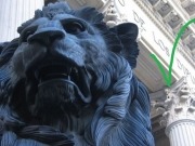 Los ecologistas plantean 17 retos a los partidos políticos de cara al 20D