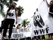 WWF pide a Rajoy objetivos ambiciosos, vinculantes y coherentes en clima y energía