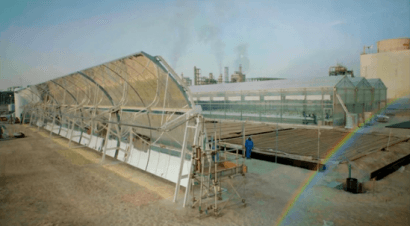 Pepinos cultivados con agua marina y energía solar en pleno desierto