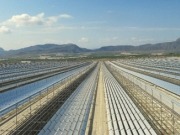 El presidente de Murcia inaugura la planta termosolar Fresnel más grande del mundo