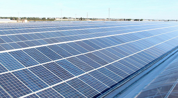 Fotovoltaica - Trina Solar produce sus primeras cÃ©lulas i-TOPCon tipo n de 210 mm - EnergÃ­as Renovables, el periodismo de las energÃ­as limpias. - EnergÃ­as Renovables