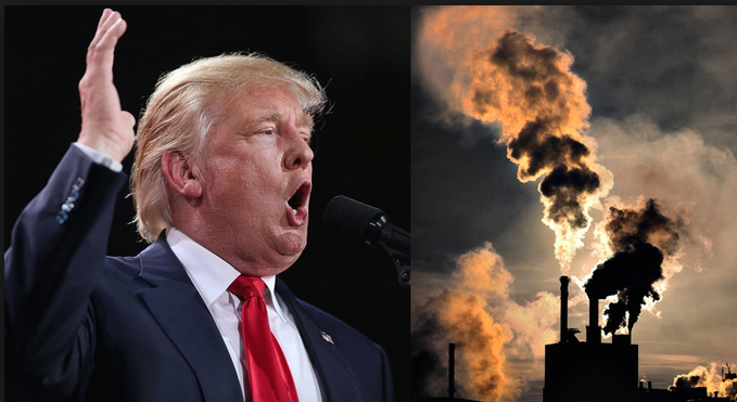 La cruzada trumpista contra la energía eólica marina