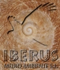 IBERUS MEDIO AMBIENTE, S.L.